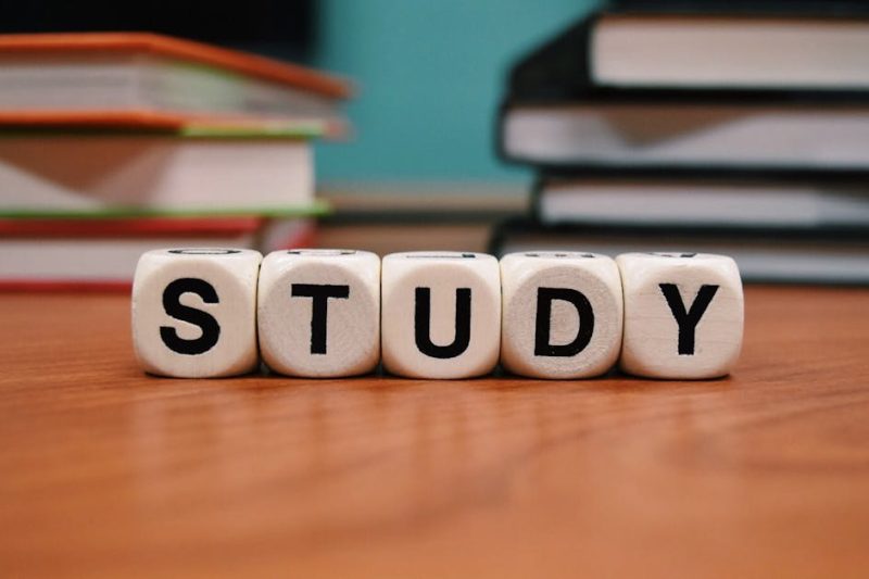 Pädagogisches Material: Wichtige Ressourcen für eine optimale Lernumgebung