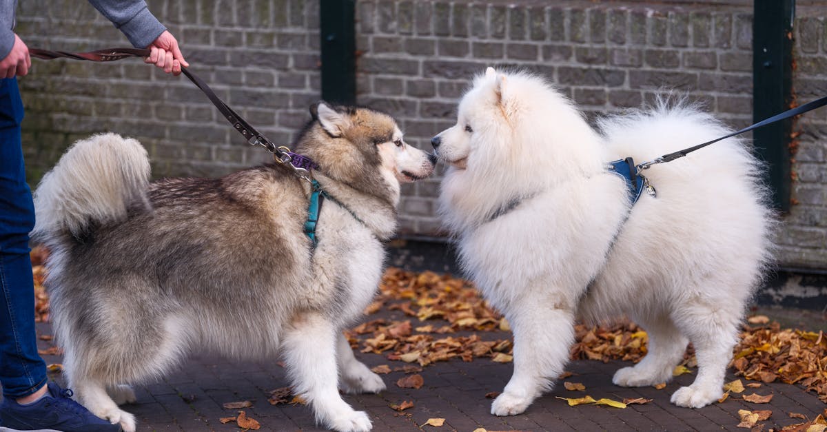 entdecken sie spannende begegnungen und unerwartete erlebnisse. tauchen sie ein in geschichten über beeindruckende treffen, neue kontakte und inspirierende austauschmomente.