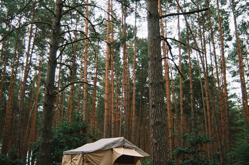 Campingplatz Drôme: Ihr perfekter Urlaubsort in der Provence