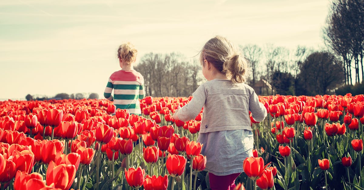 entdecken sie spannende ideen für einen unvergesslichen familienausflug! von aufregenden abenteuerparks bis zu entspannten naturwanderungen – finden sie die besten aktivitäten für unvergessliche momente mit der familie.