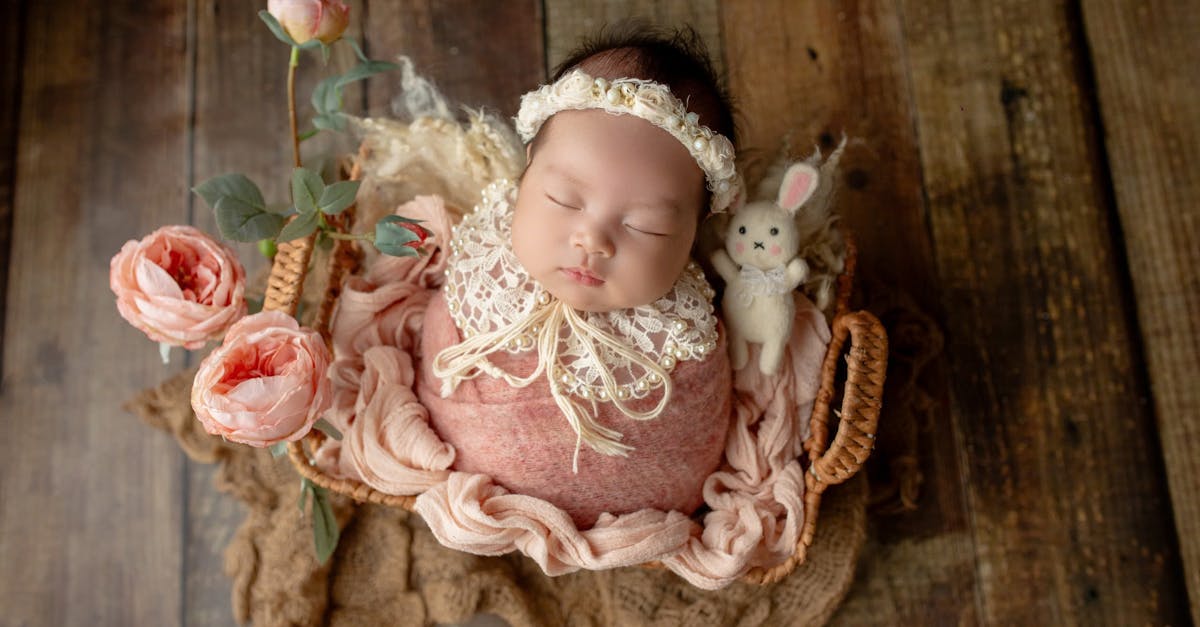 entdecken sie unser hochwertiges babygeschirr, speziell entworfen für die bedürfnisse ihres kleinkindes. sicher, langlebig und bunte designs machen das essen für ihr baby zu einem vergnügen!