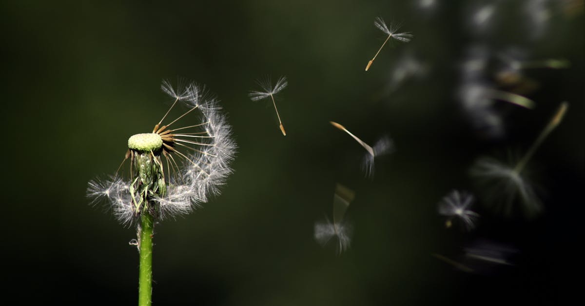 erfahren sie, wie sie persönliches und geschäftliches wachstum fördern können. entdecken sie strategien, ressourcen und tipps, um ihre ziele zu erreichen und ihr potenzial voll auszuschöpfen.