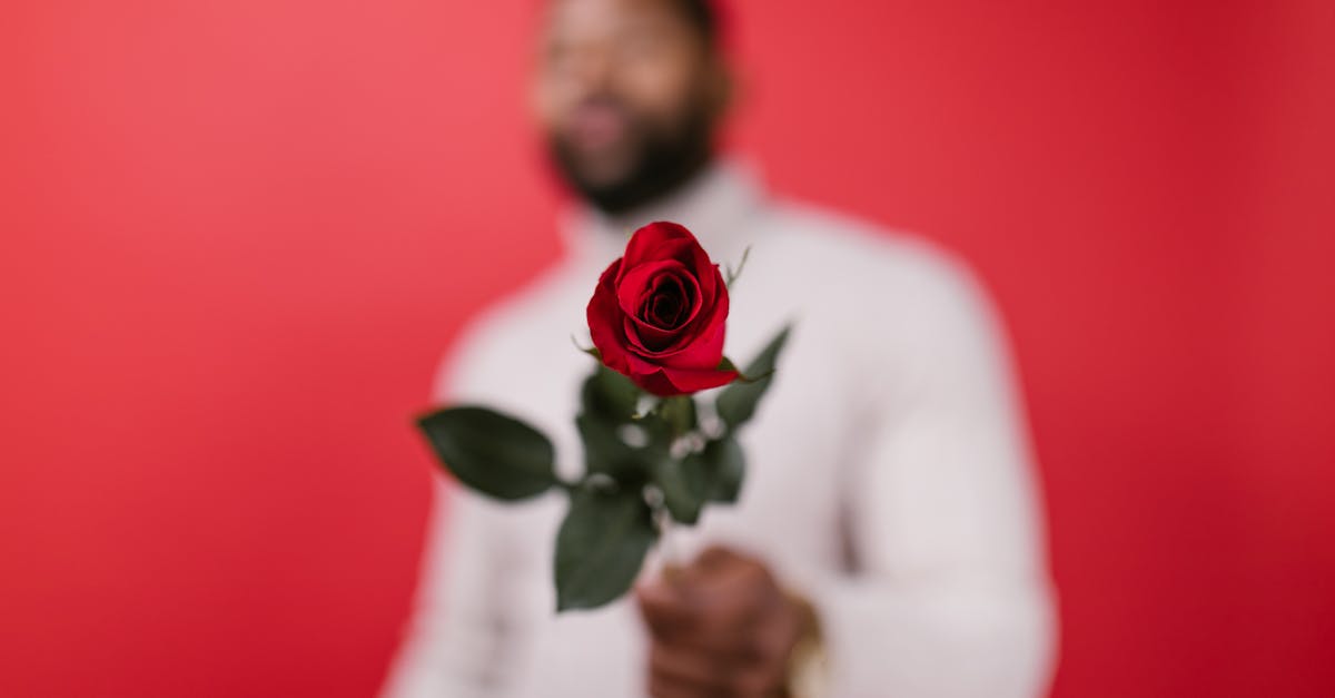 entdecken sie kreative geschenkideen für jeden anlass! von einzigartigen personalisierten geschenken bis hin zu trendigen accessoires - finden sie das perfekte geschenk für ihre liebsten.