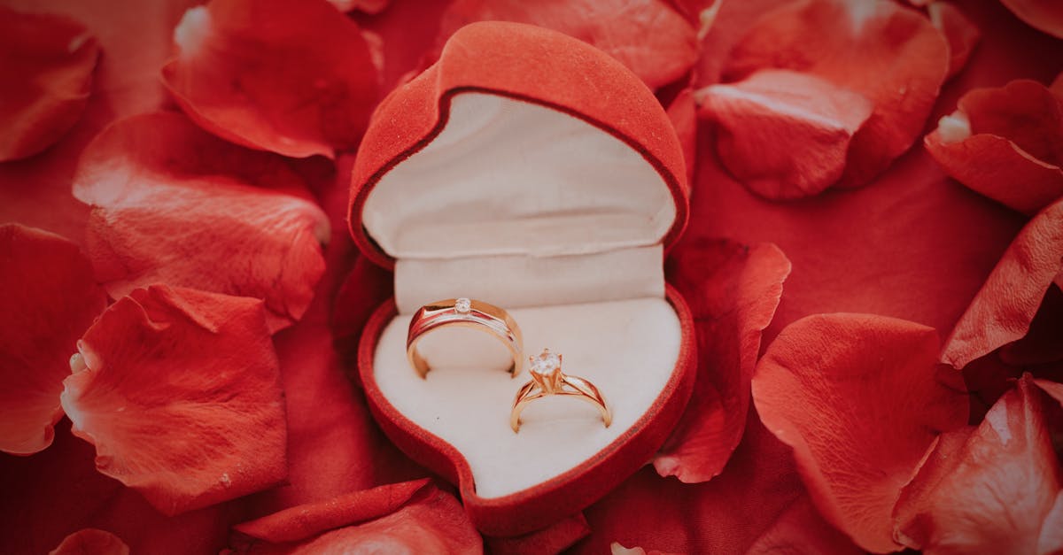 entdecken sie unsere vielfältigen geschenksets, ideal für jeden anlass! ob für geburtstage, feiertage oder besondere momente – finden sie das perfekte set, das freude bereitet und überrascht.