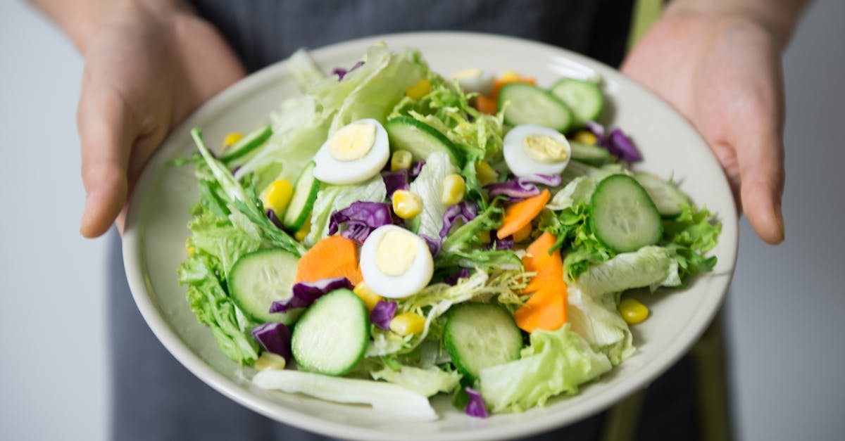 entdecken sie die wichtigsten aspekte der ernährung, von ausgewogenen diäten bis zu gesunden rezepten, um ihr wohlbefinden zu steigern und einen gesunden lebensstil zu führen.